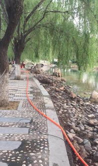 真情服务 乐于奉献 校办工厂绿化保洁中心支部的保洁服务之路